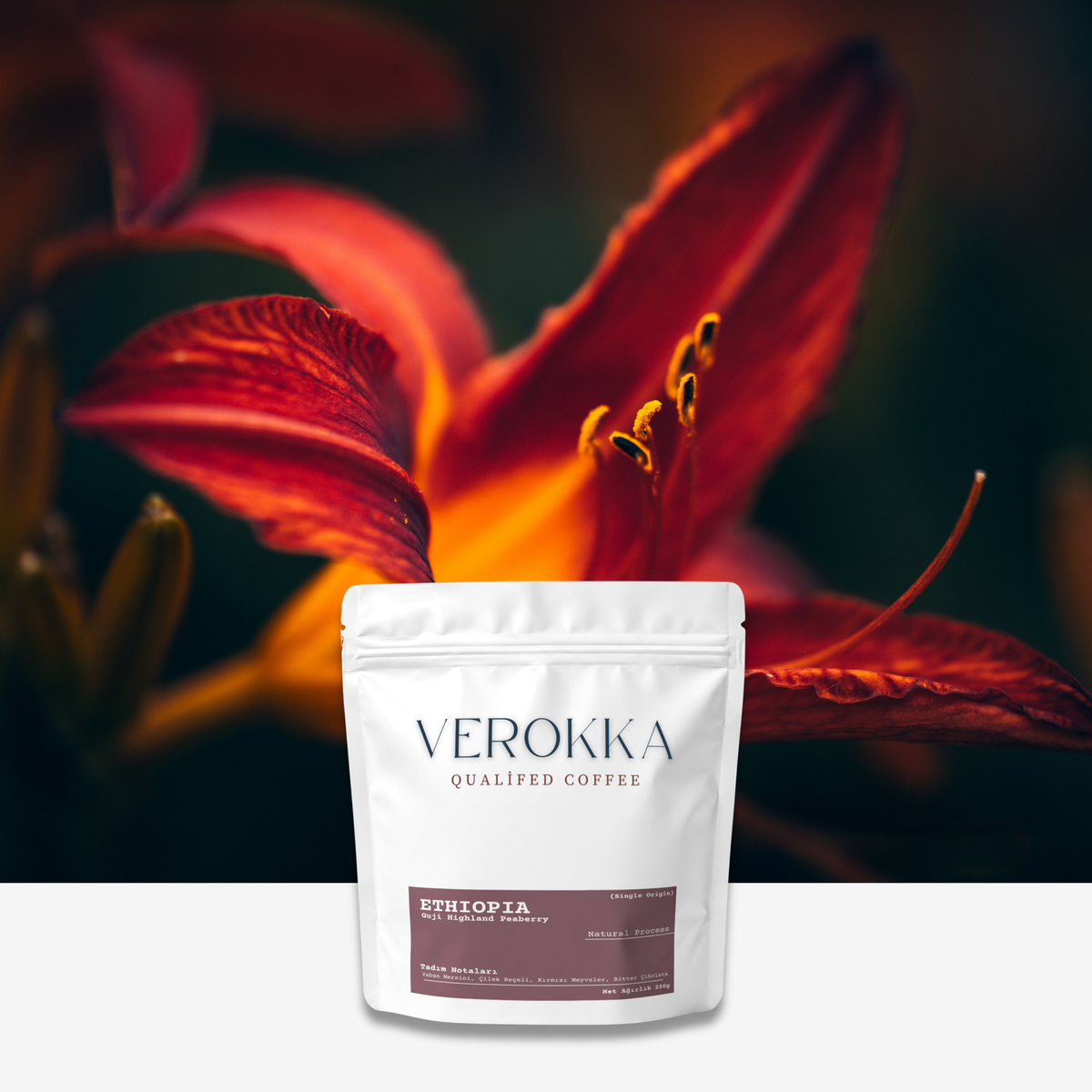 Ethiopia Guji Peaberry - Yoğun Meyvemsi Nitelikli Çekirdek Kahve