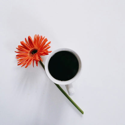 ETHIOPIA YIRGACHEFFE GR2