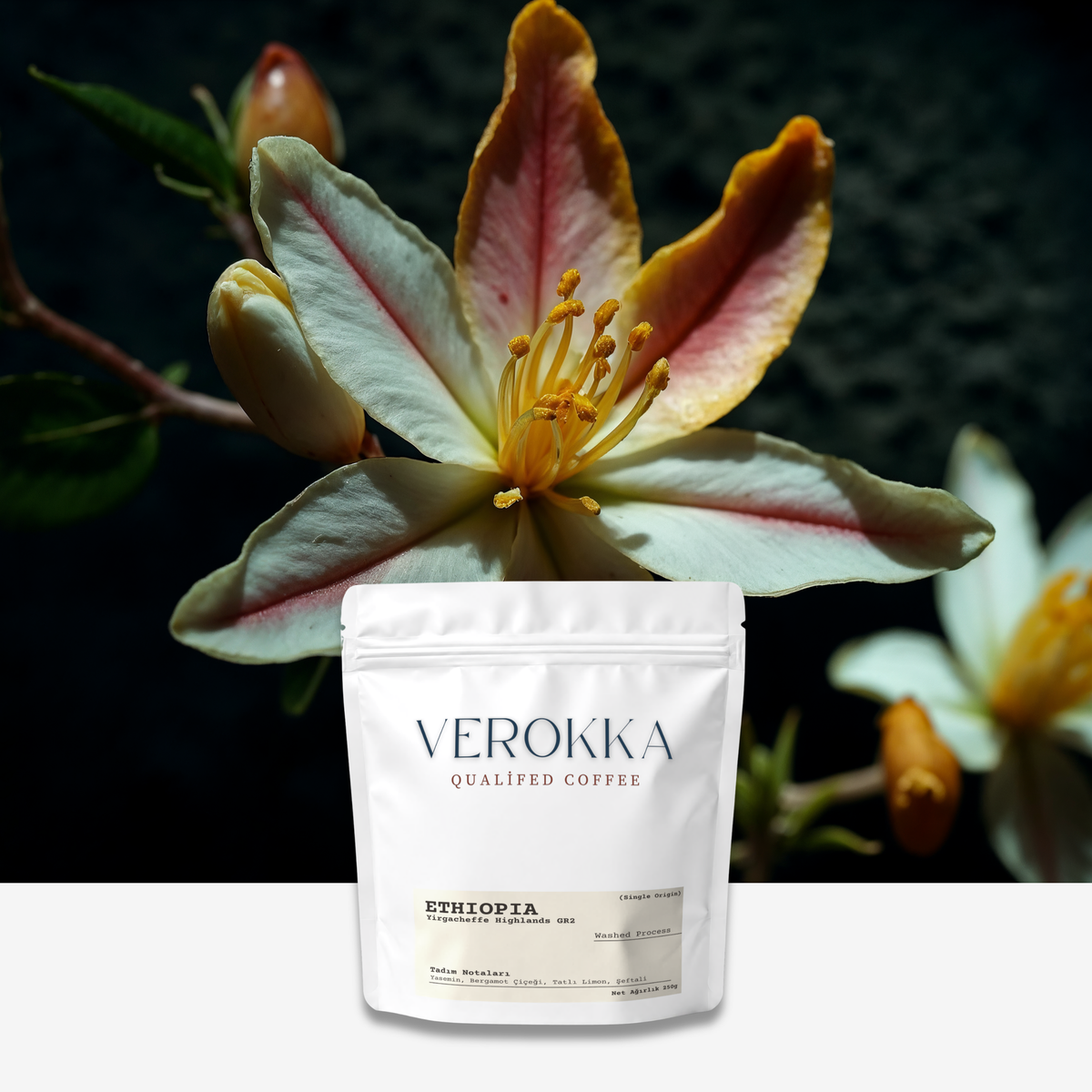 Ethiopia Yirgacheffe GR2 - Çiçeksi & Aromatik Nitelikli Filtre Kahve